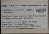 Image Associated With the Occurence
